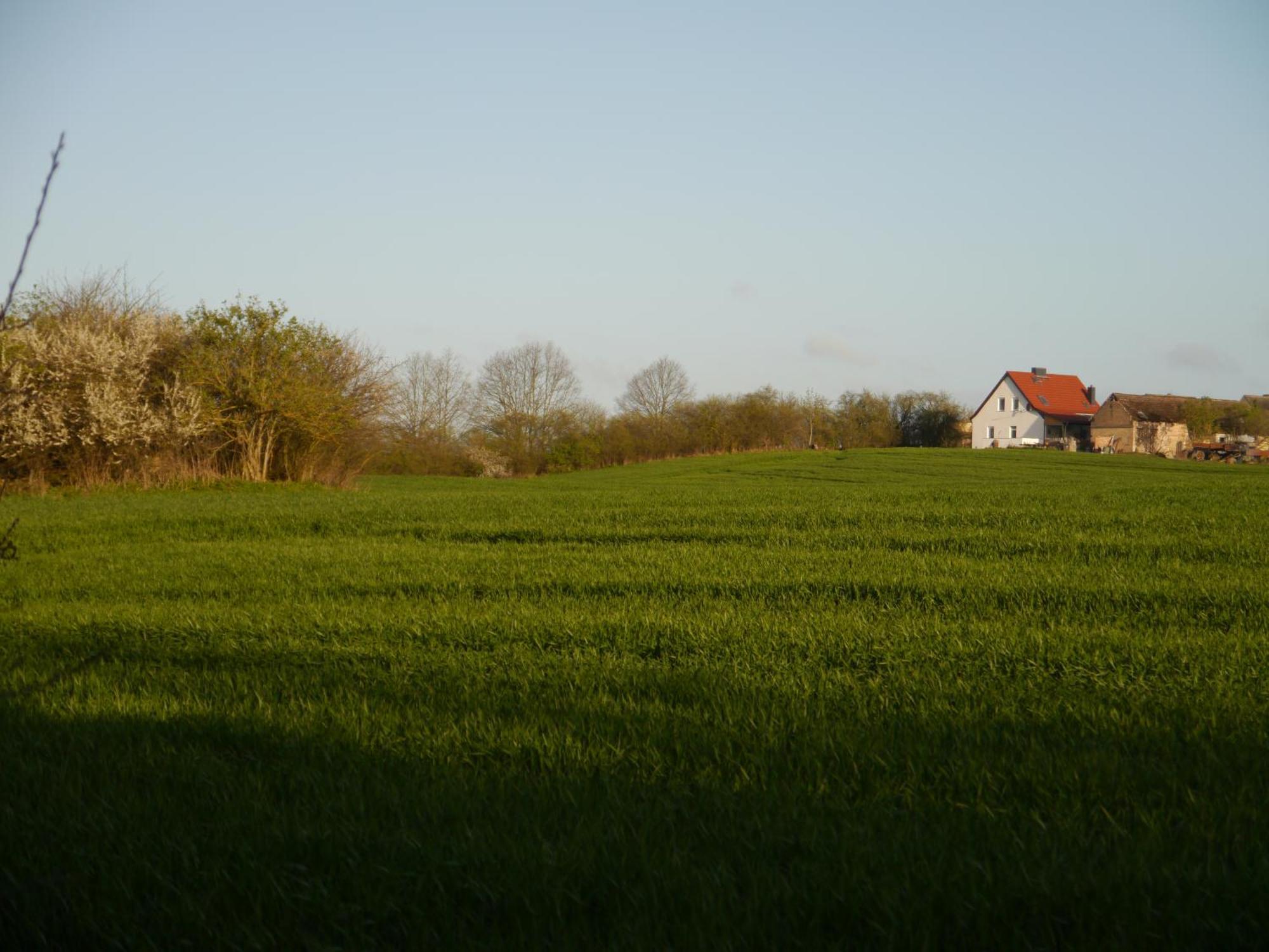 Ferienhaus-uckermarkblick
